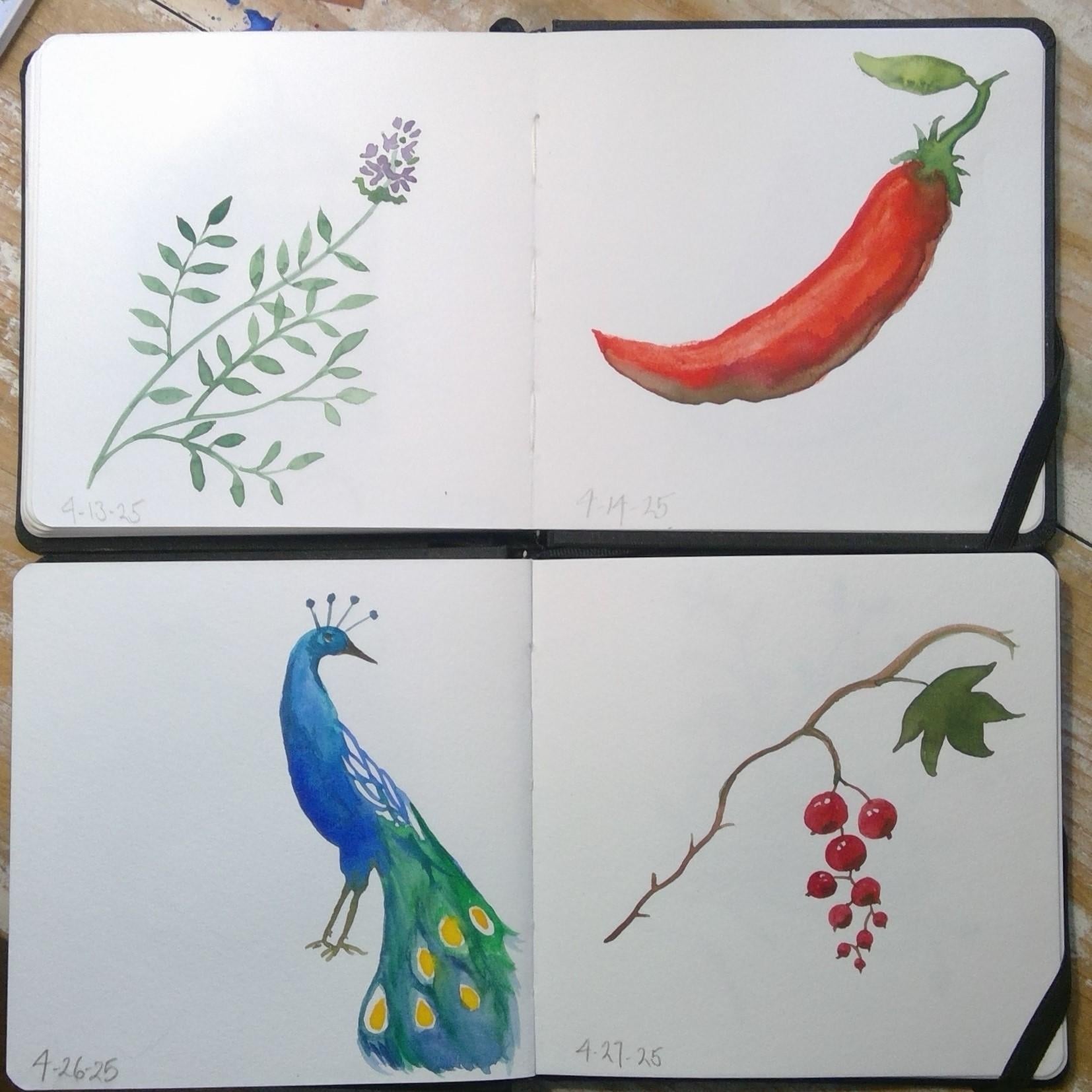 more-projects-from-class-img