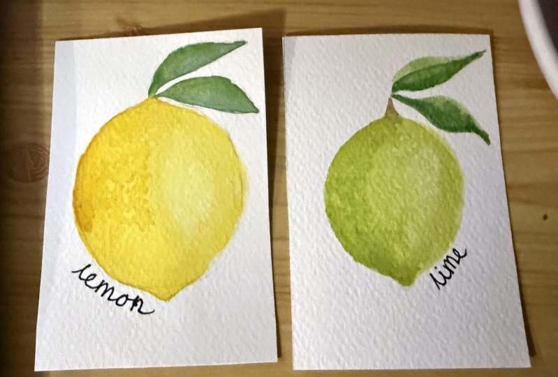Water colour citrus