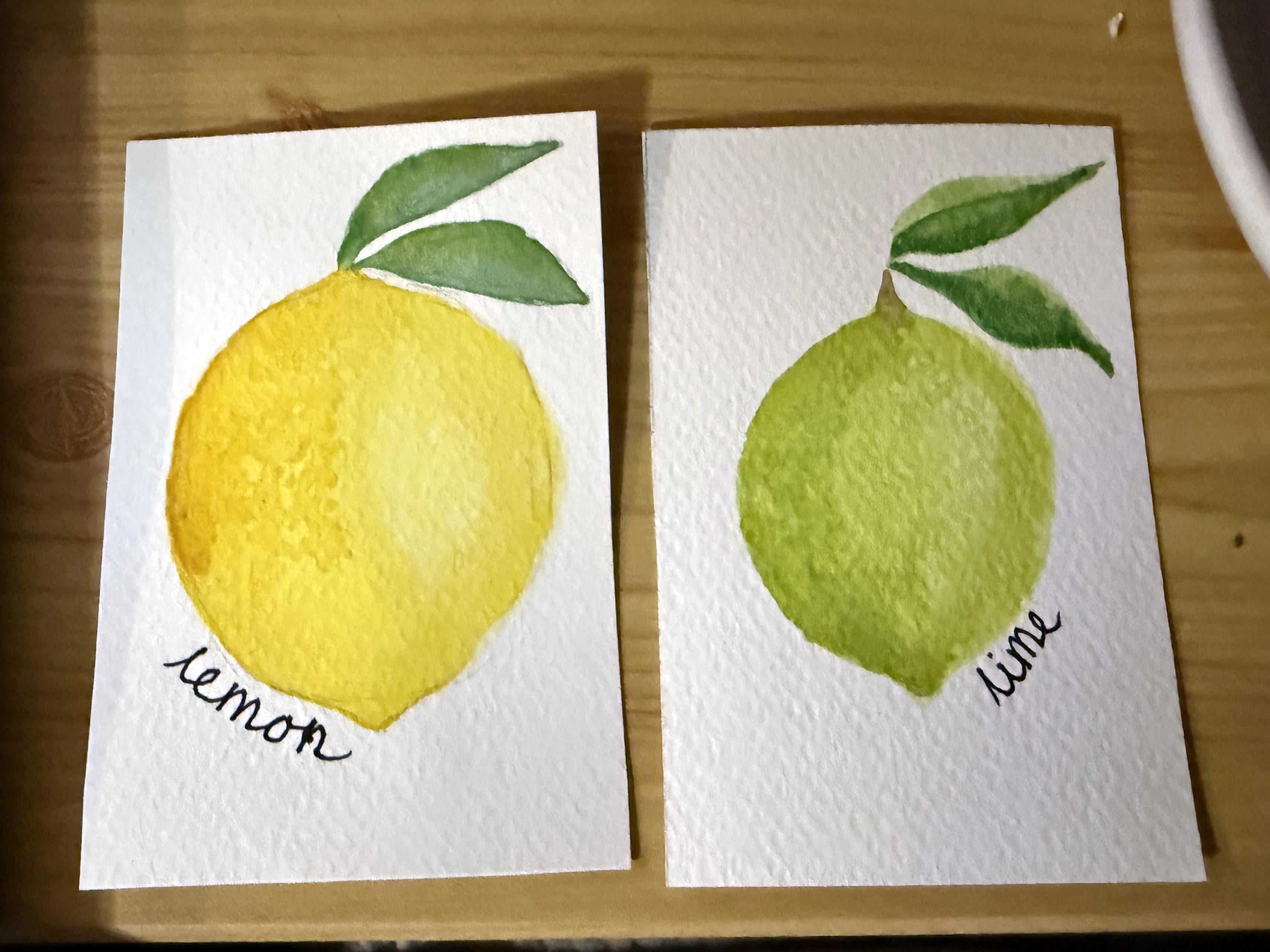 Water colour citrus - student project
