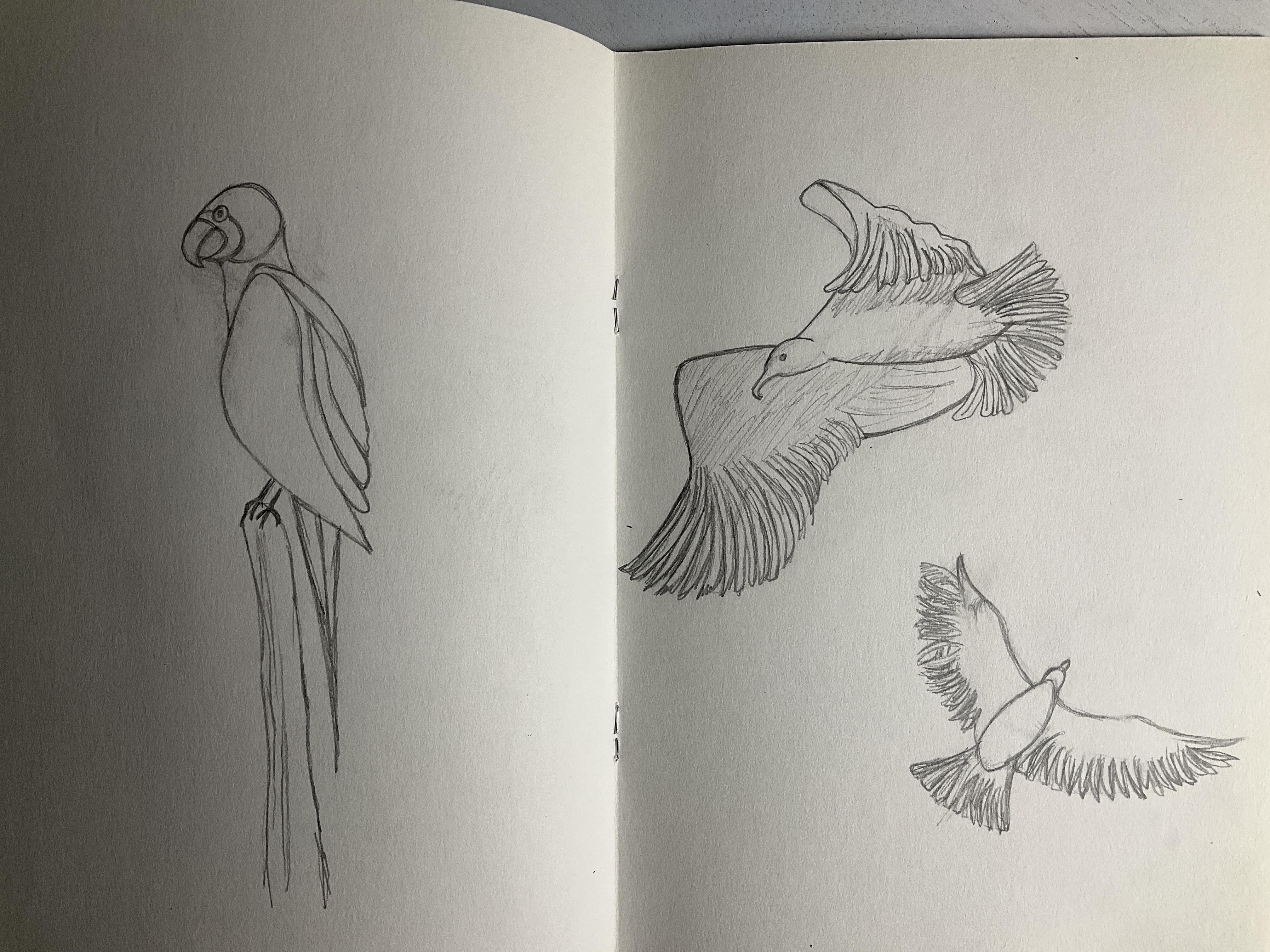 more-projects-from-class-img