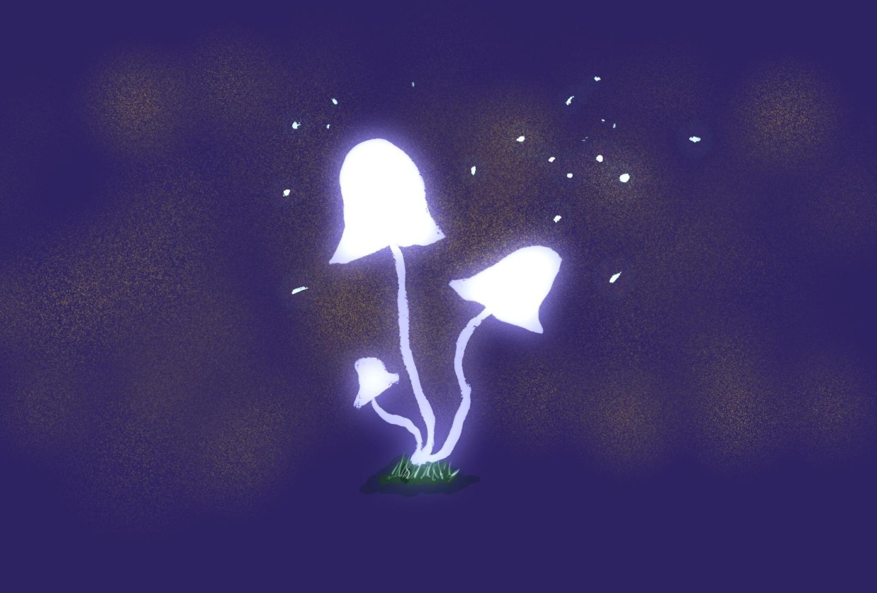 Glowing Mushrooms Blooming - student project