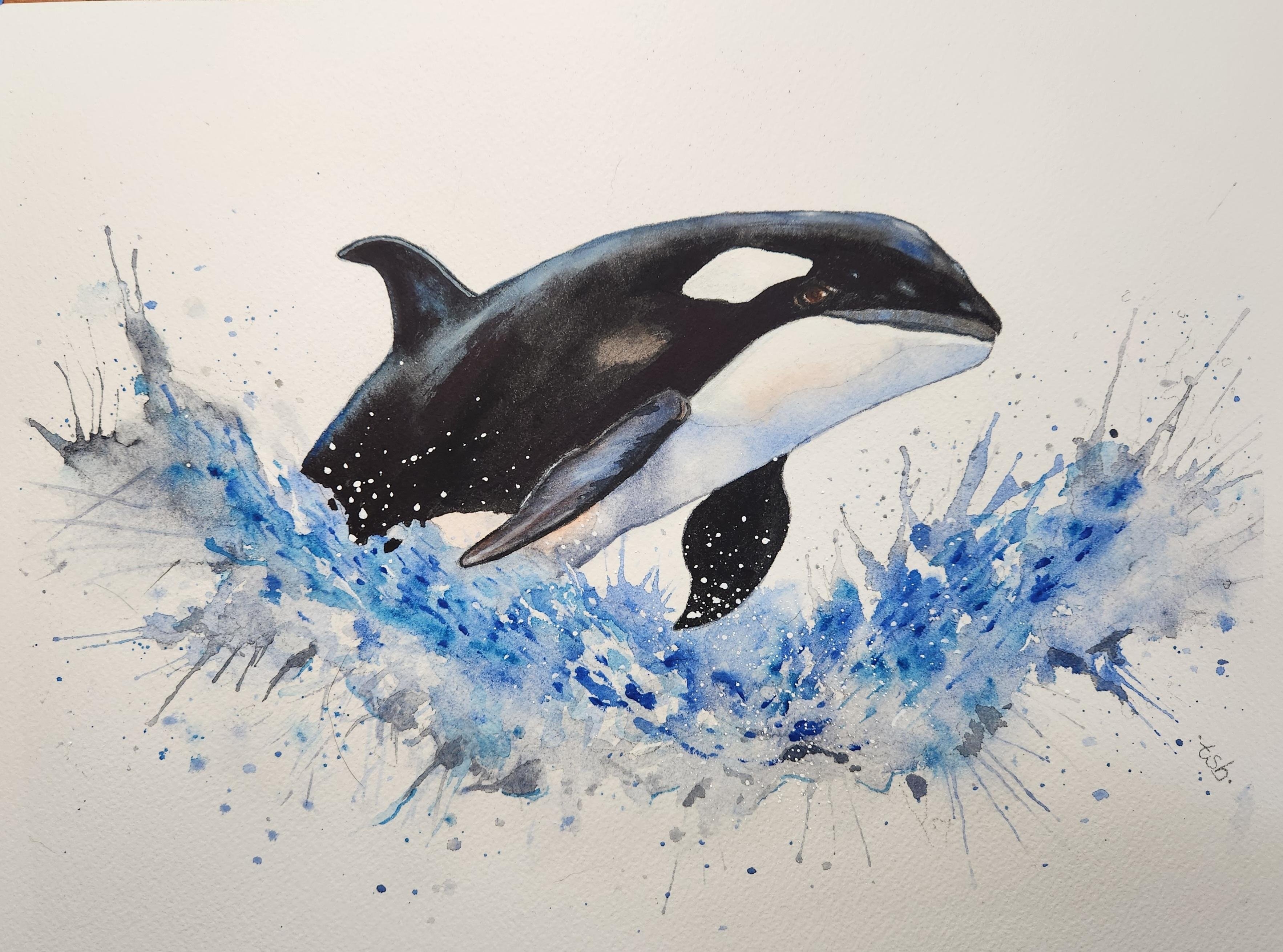 Waylon, the Orca Whale - student project