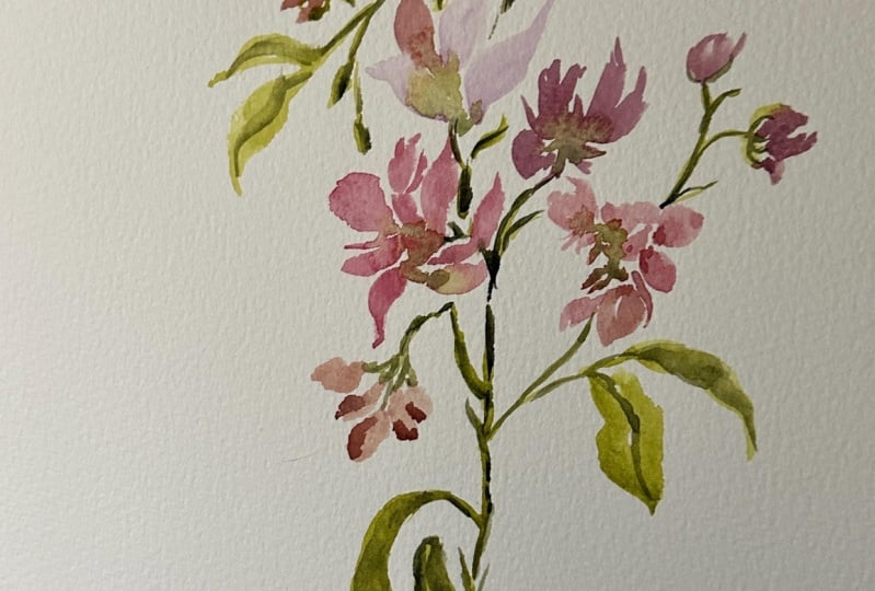 Loose freesia