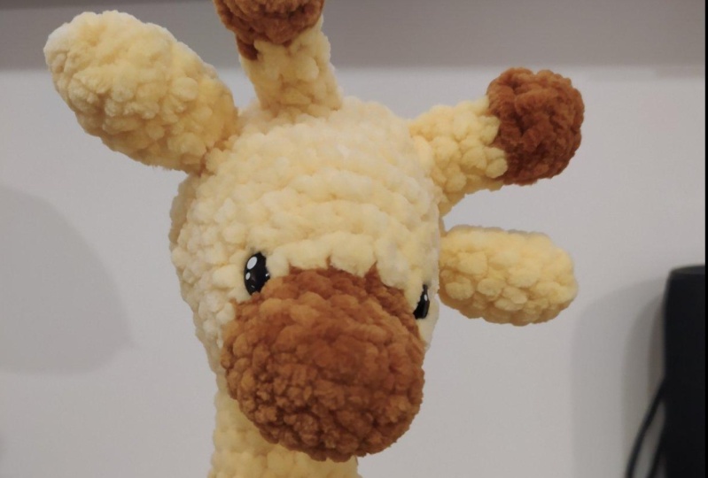 My Amigurumi journey :)