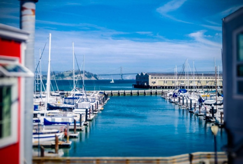 Framed by the Bay