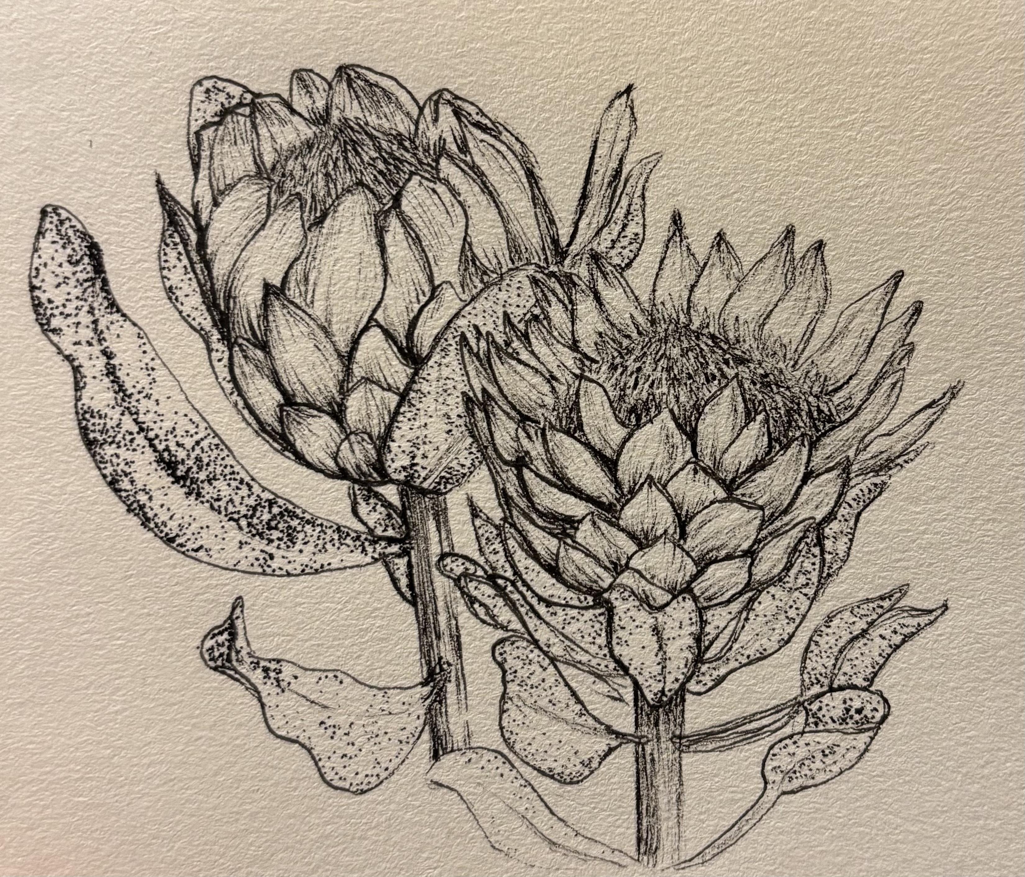 Project - student project