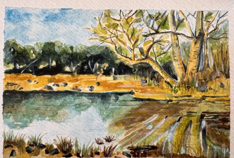 Loose Natural Landscape
