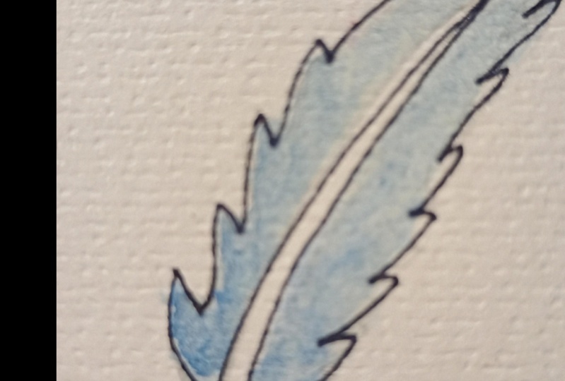 Water and color