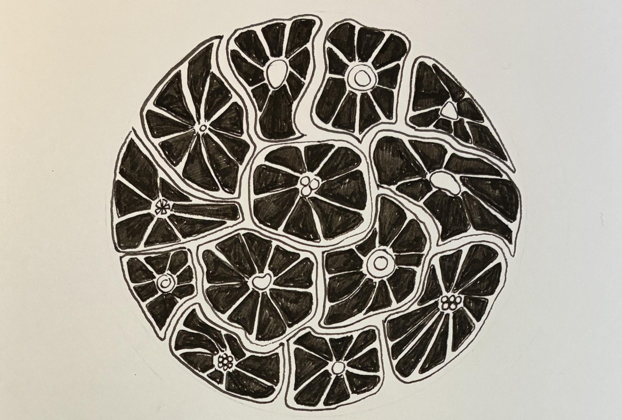 Fantasy florals - student project