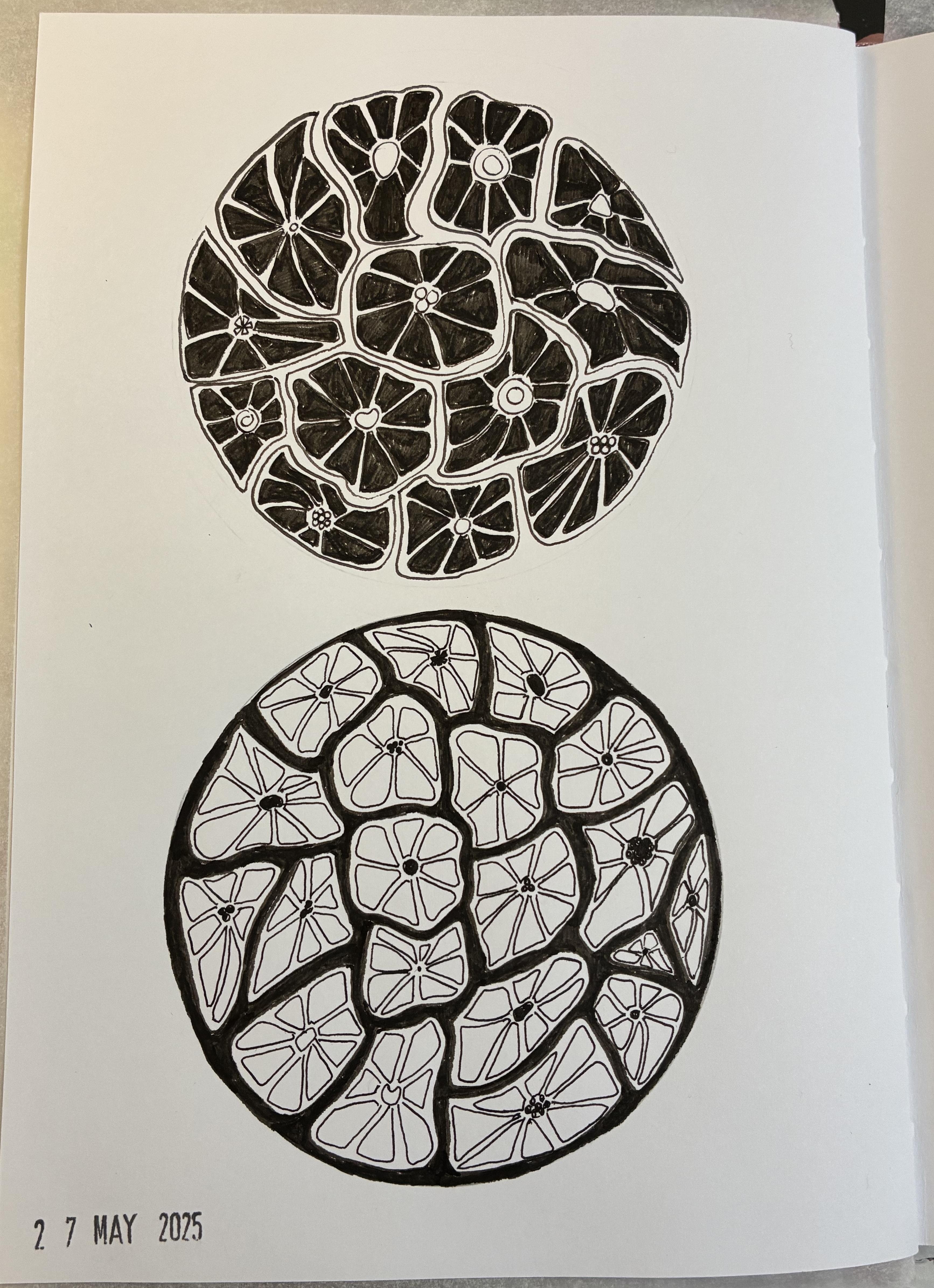 more-projects-from-class-img