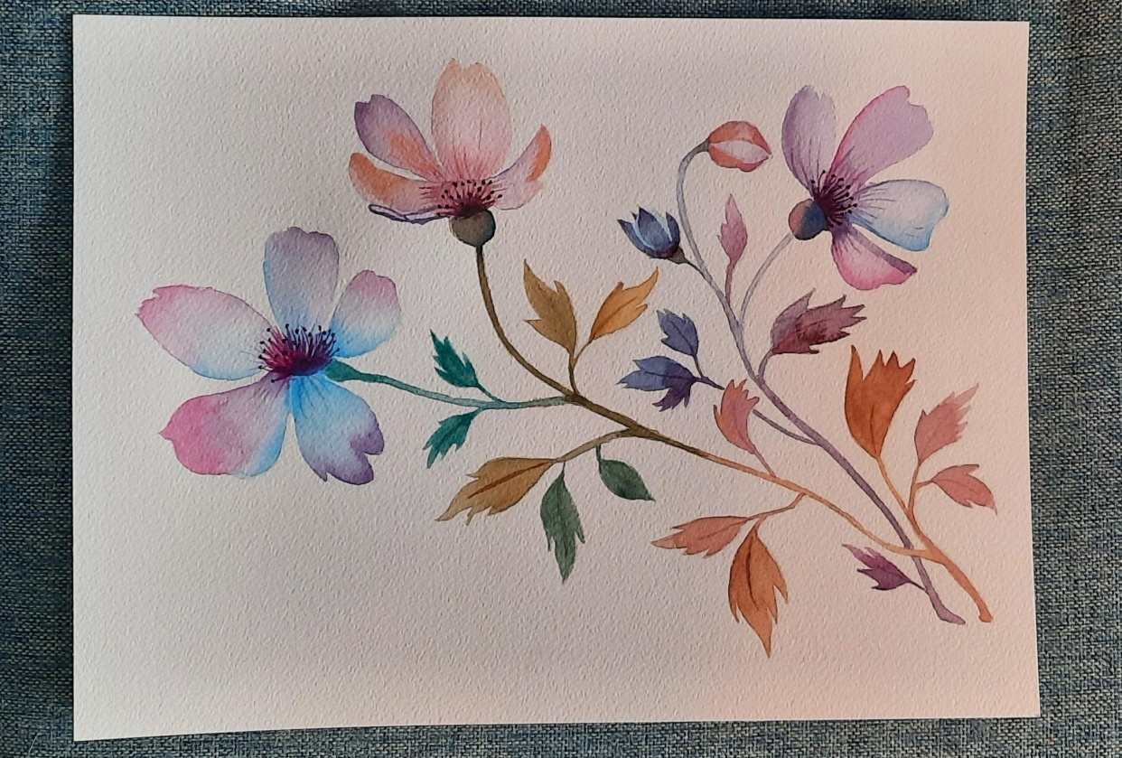 Soft Botanicals - student project