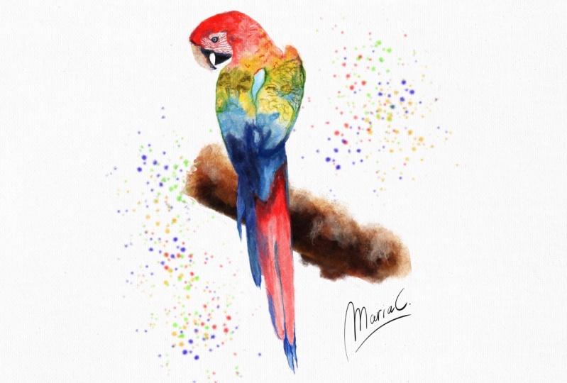 Parrot