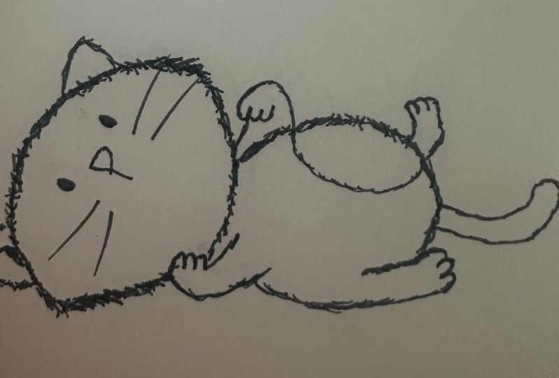 Drawing 7 cute cat poses