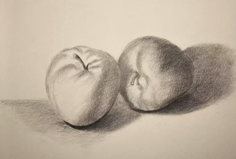 Apples, in Light and Shadow