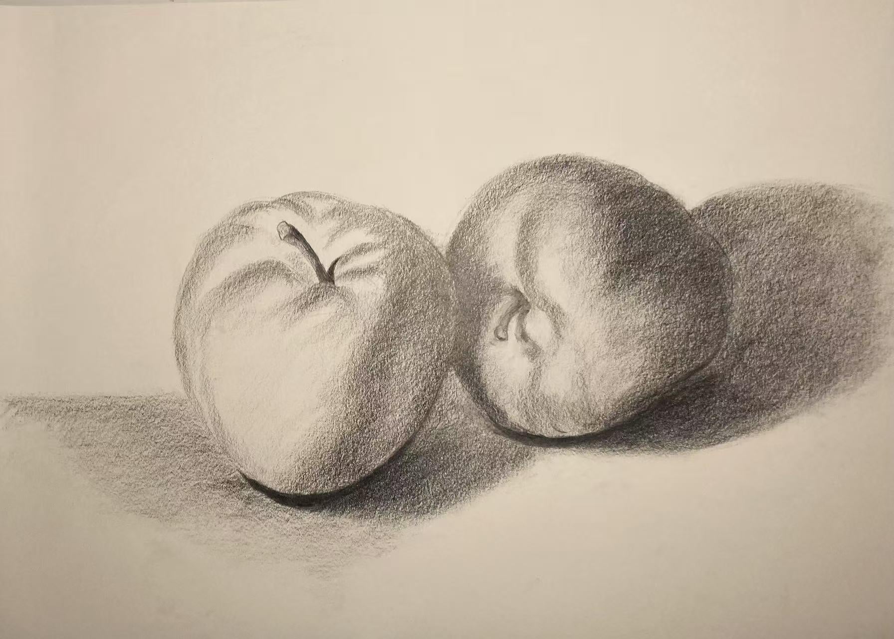 Apples, in Light and Shadow - student project