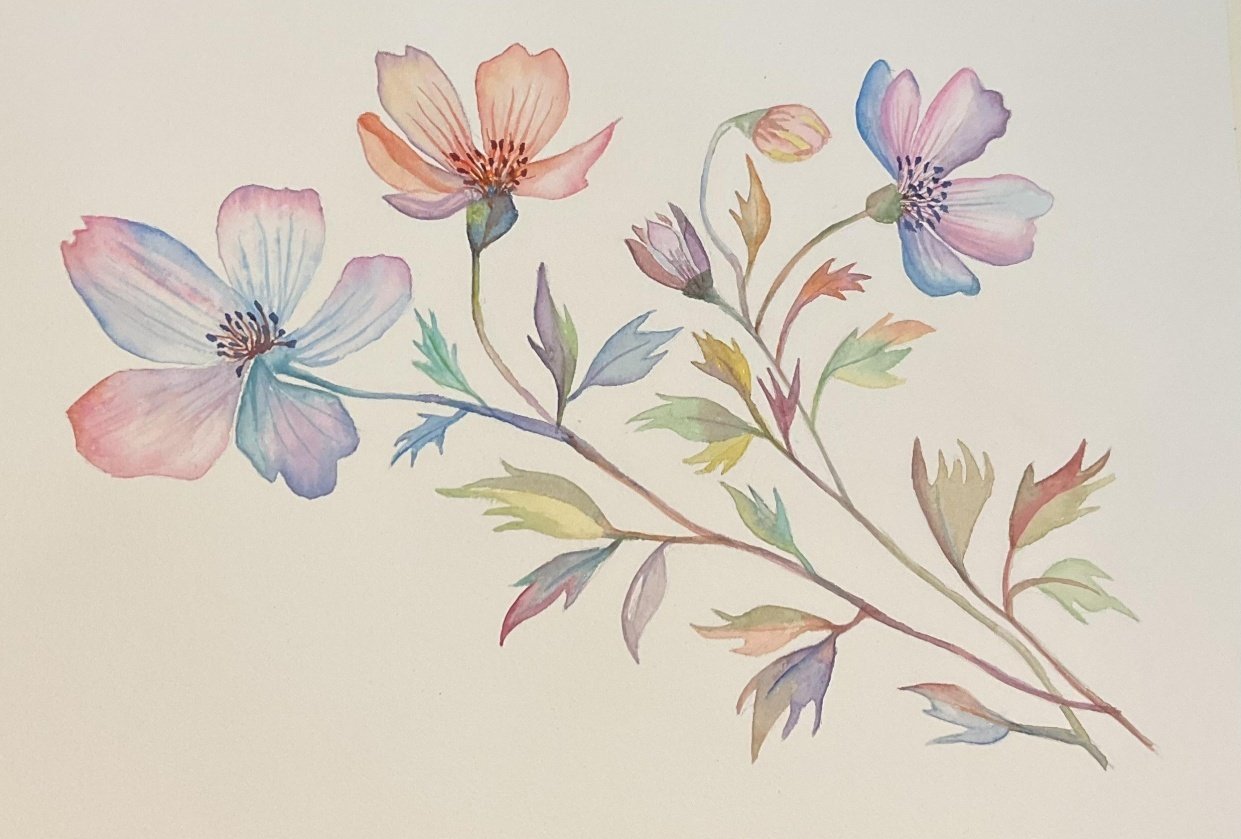 Abstract Florals - student project
