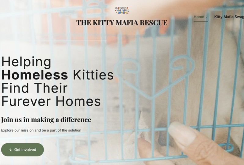 The Kitty Mafia