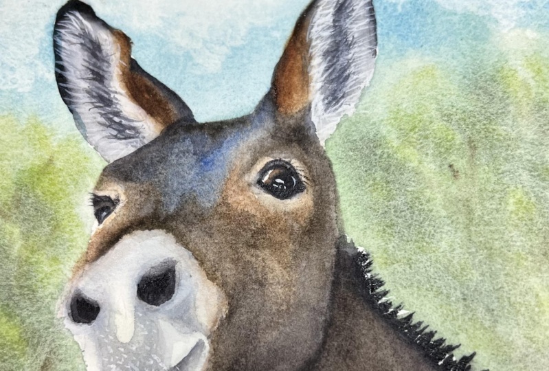 Donkey