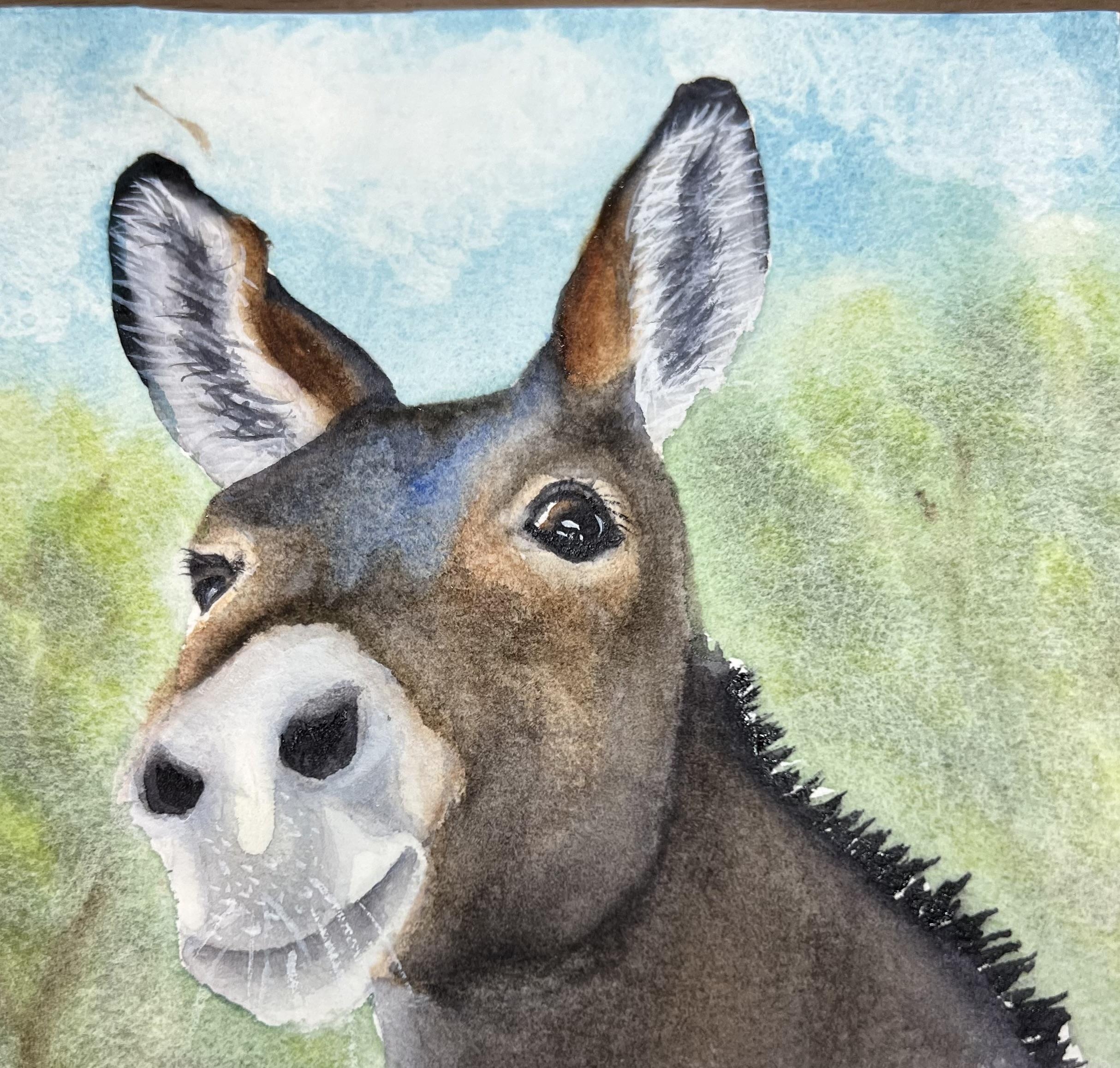 Donkey - student project
