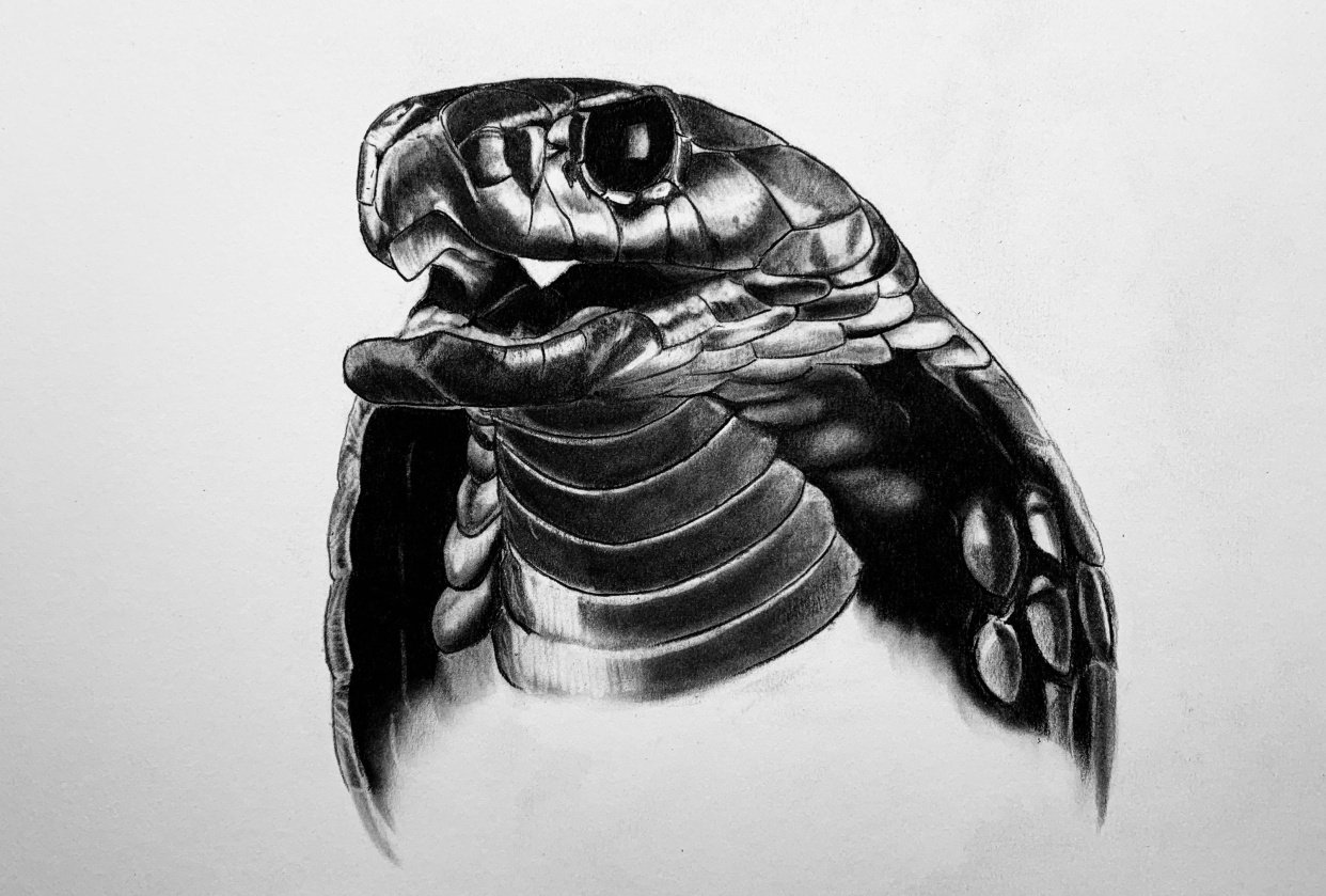 Teacher's Project - student project