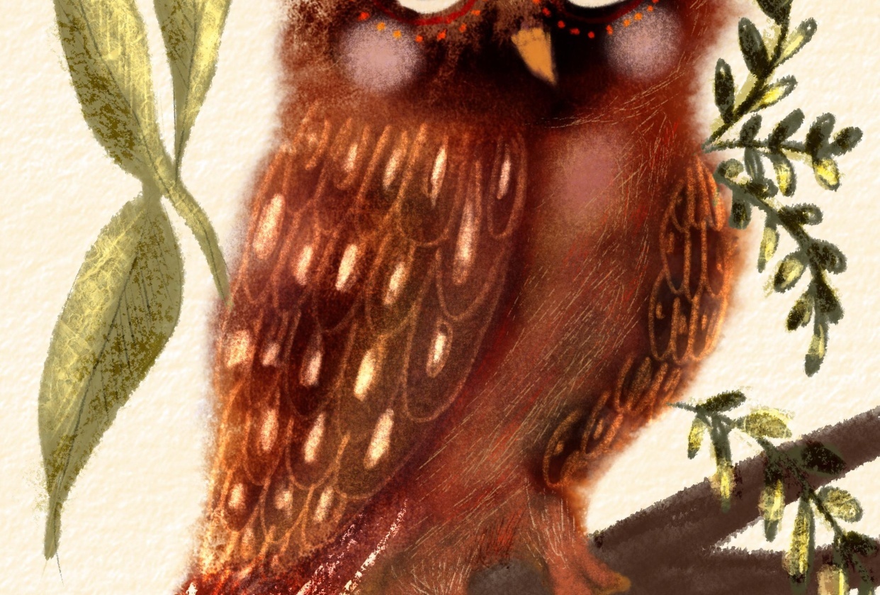 Watercolour Procreate Owl - student project