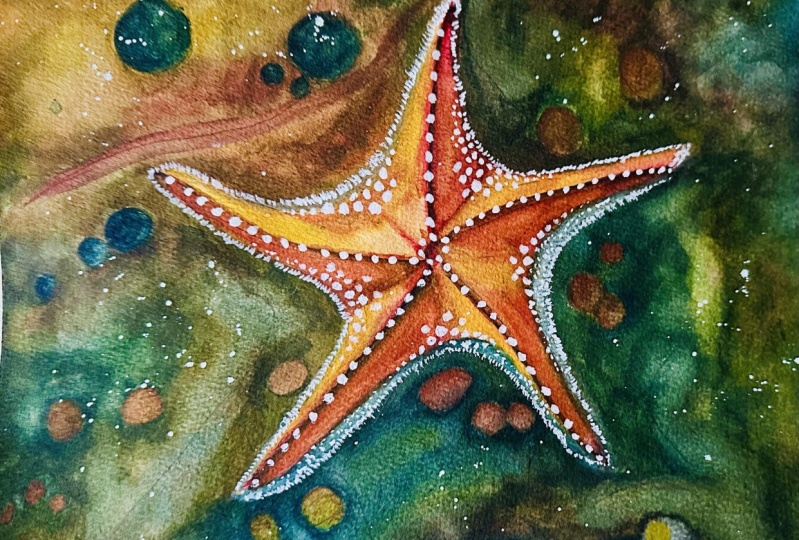 Starfish