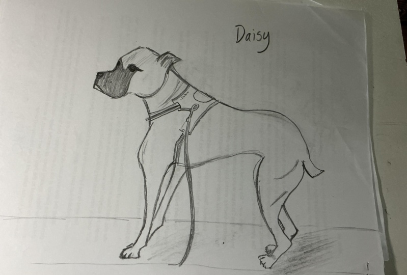 Daisy