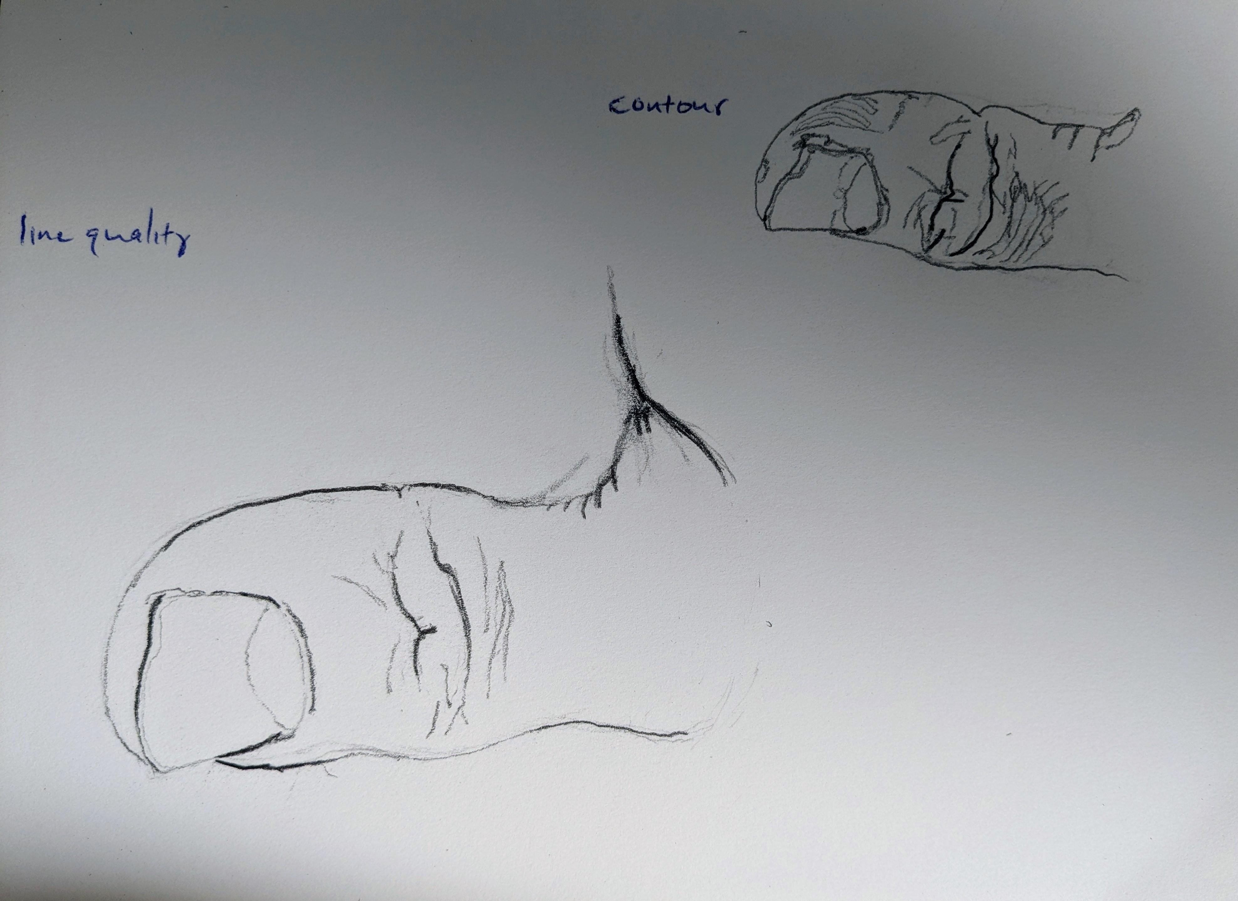 more-projects-from-class-img