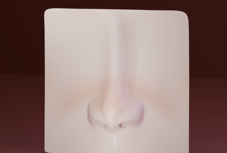 A nose :)
