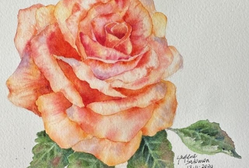 Botanical Rose
