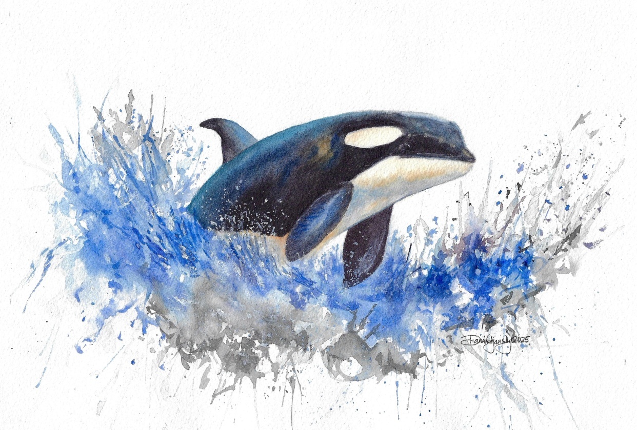 Orca Fun - student project