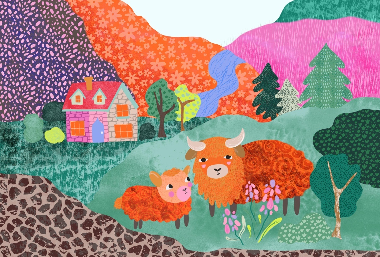 Highland cows - student project