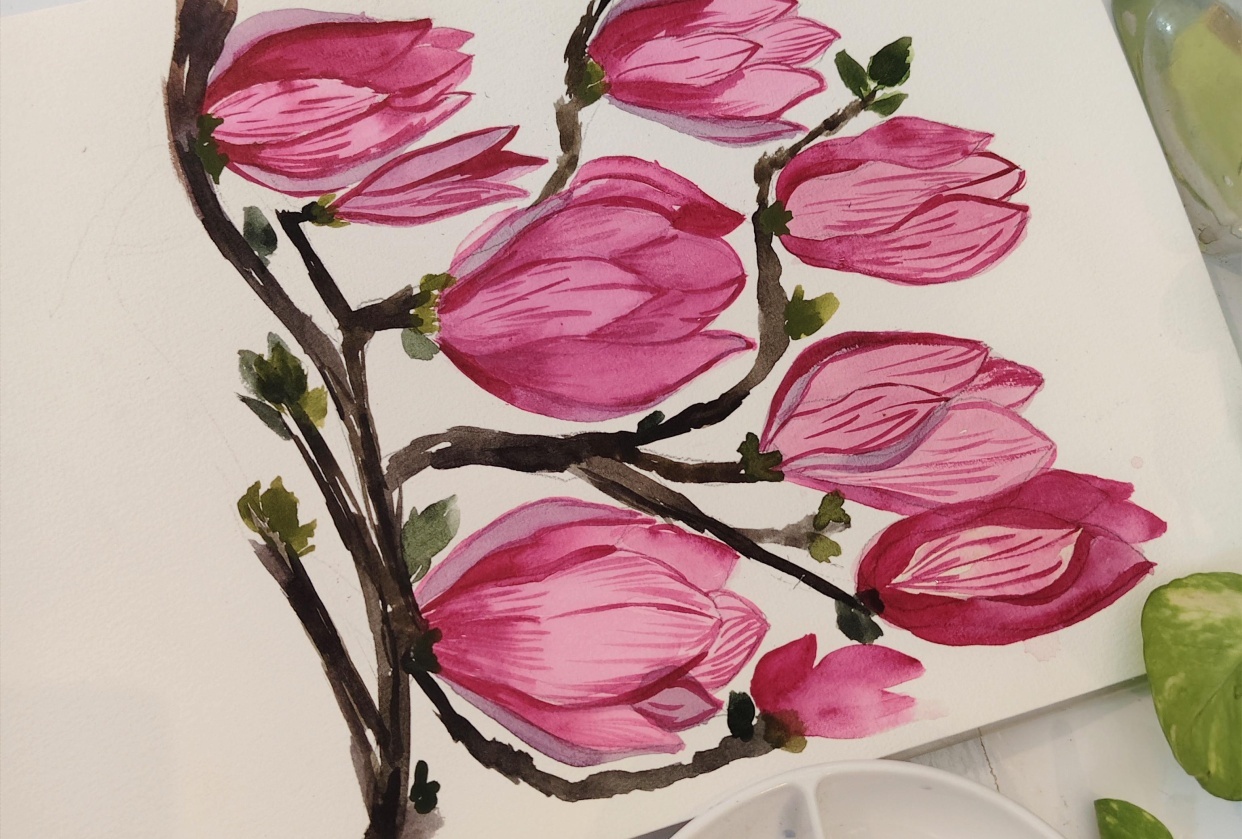 Magnolia a Beauty - student project
