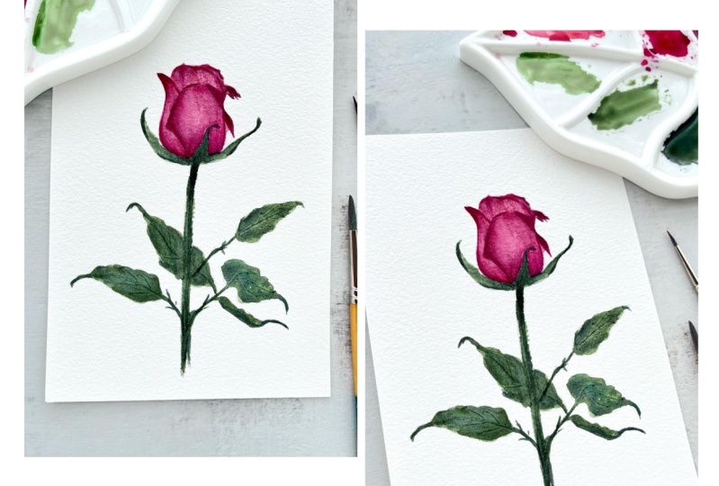 “Easy Watercolor Rose for Beginners” Class by Bianca Rayala