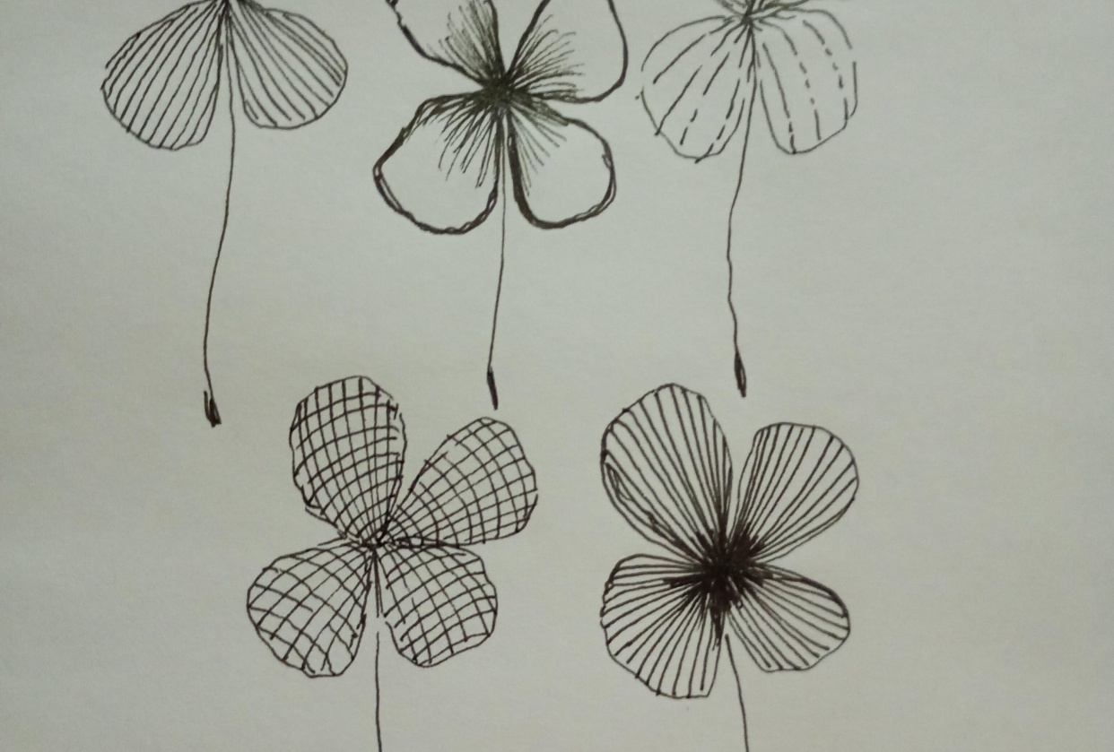Botánica con texturas - student project