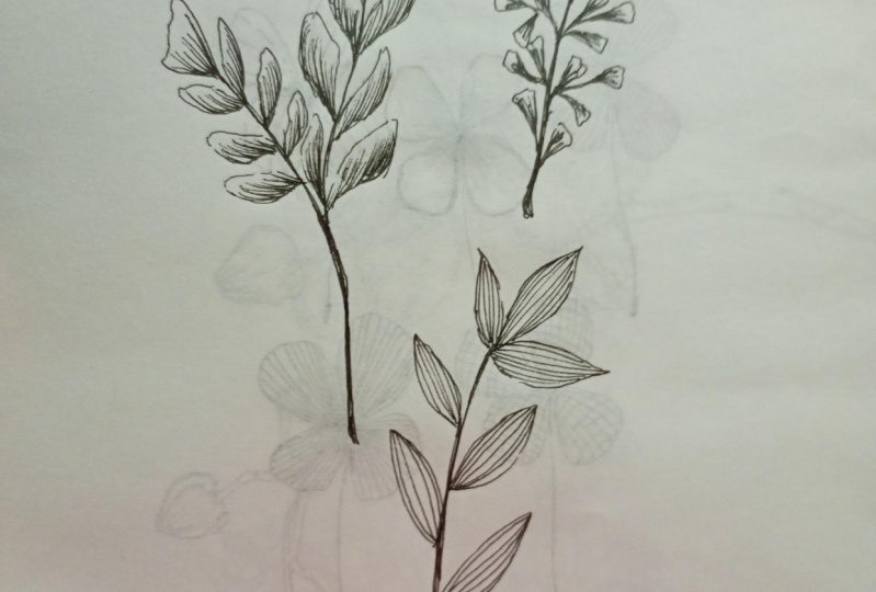 Ilustración en lineas
