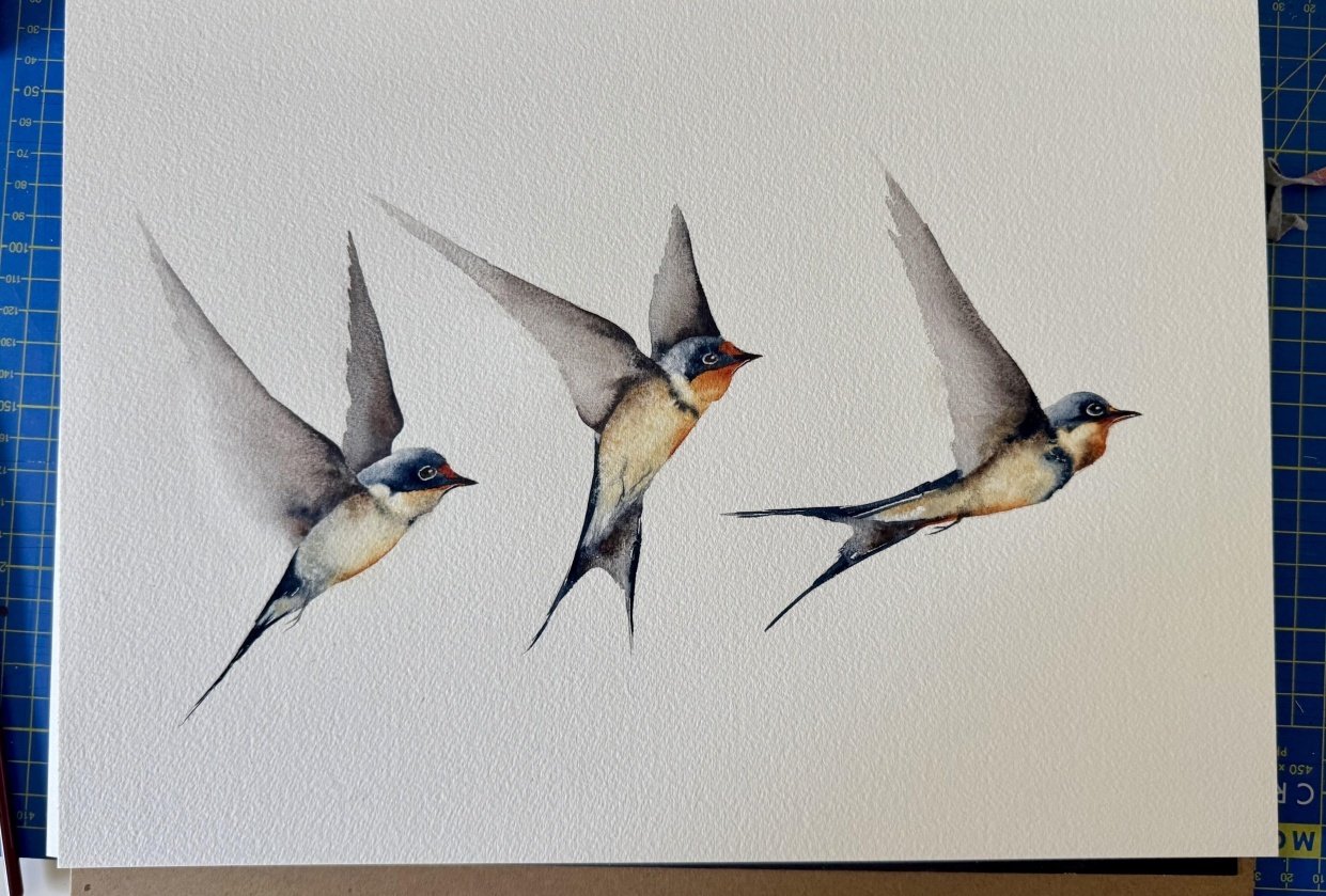 Flighty Swallows - student project
