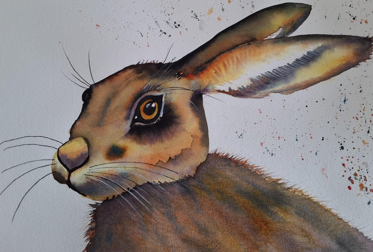 Hoppity hare - student project