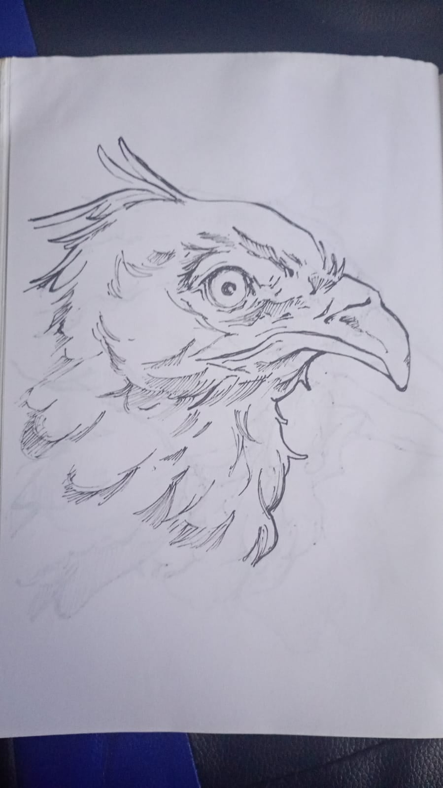 more-projects-from-class-img