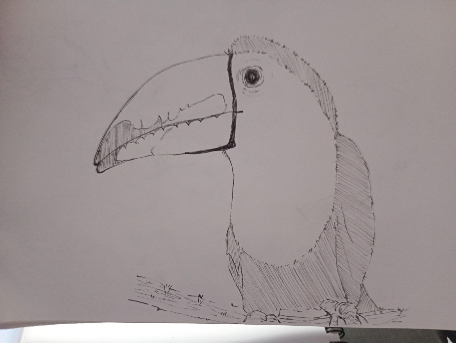 more-projects-from-class-img