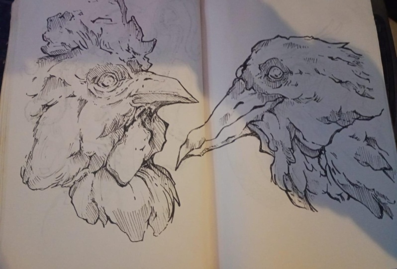 dibujo realista de aves