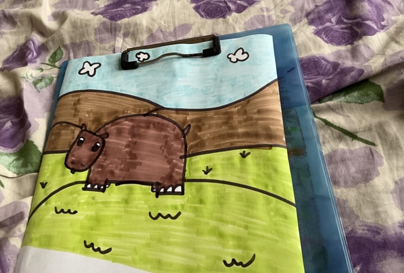 Hippo