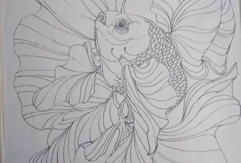 mi rutina diaria de dibujo