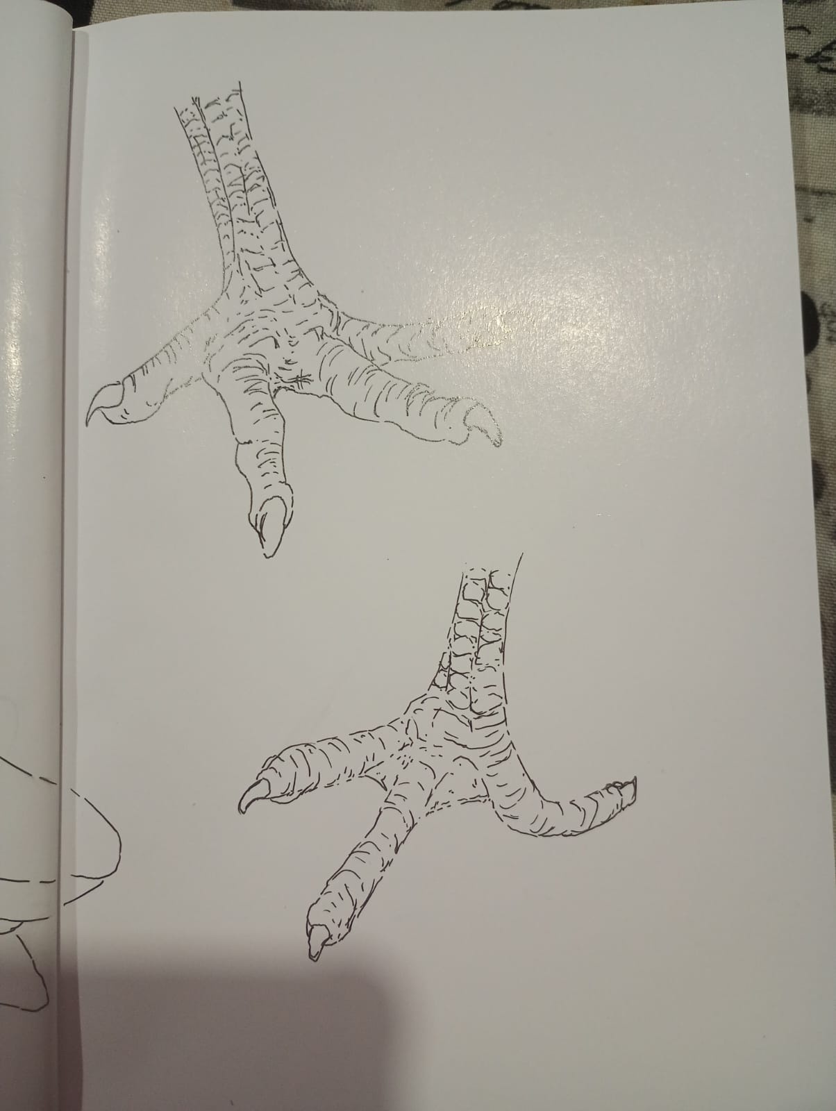 more-projects-from-class-img