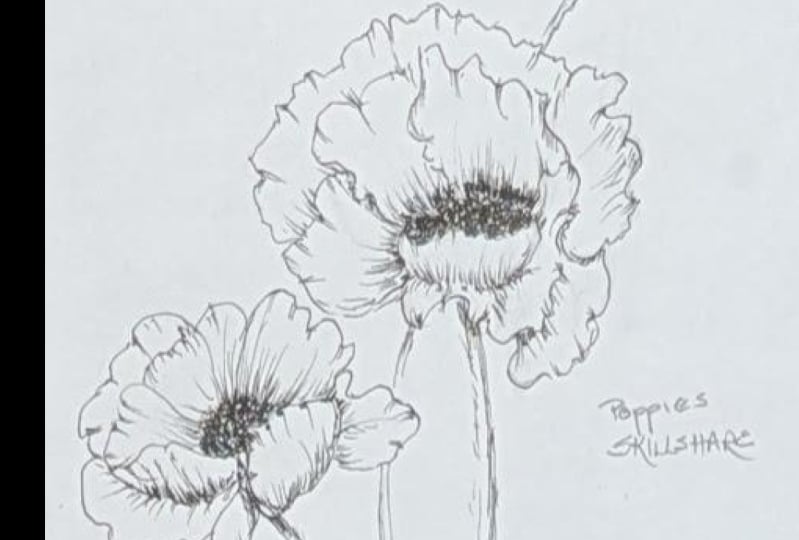 Poppies with Emily
