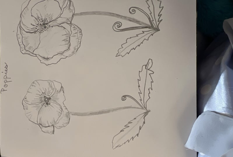 Poppies