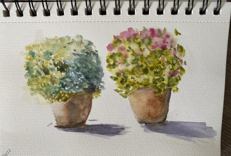 Then and Now - Getting Ready to Start a Sketchbook Journey