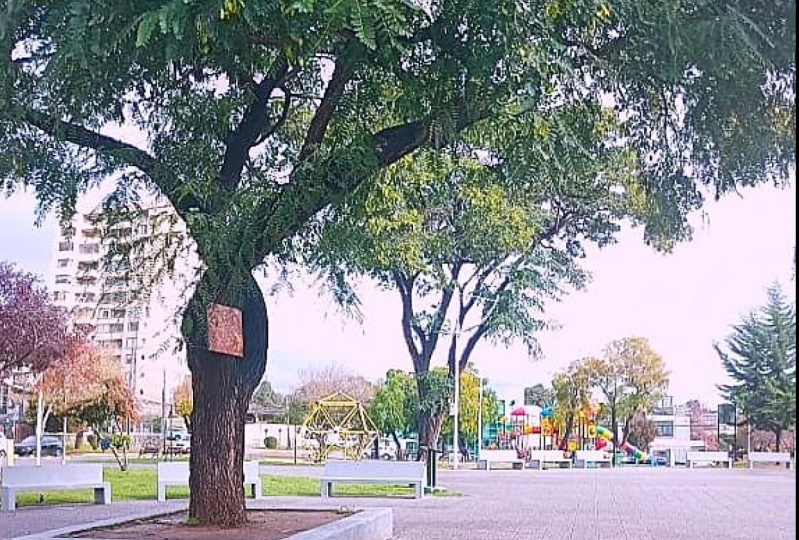 fotos en calle