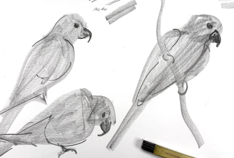 Loose shapes with graphite sticks