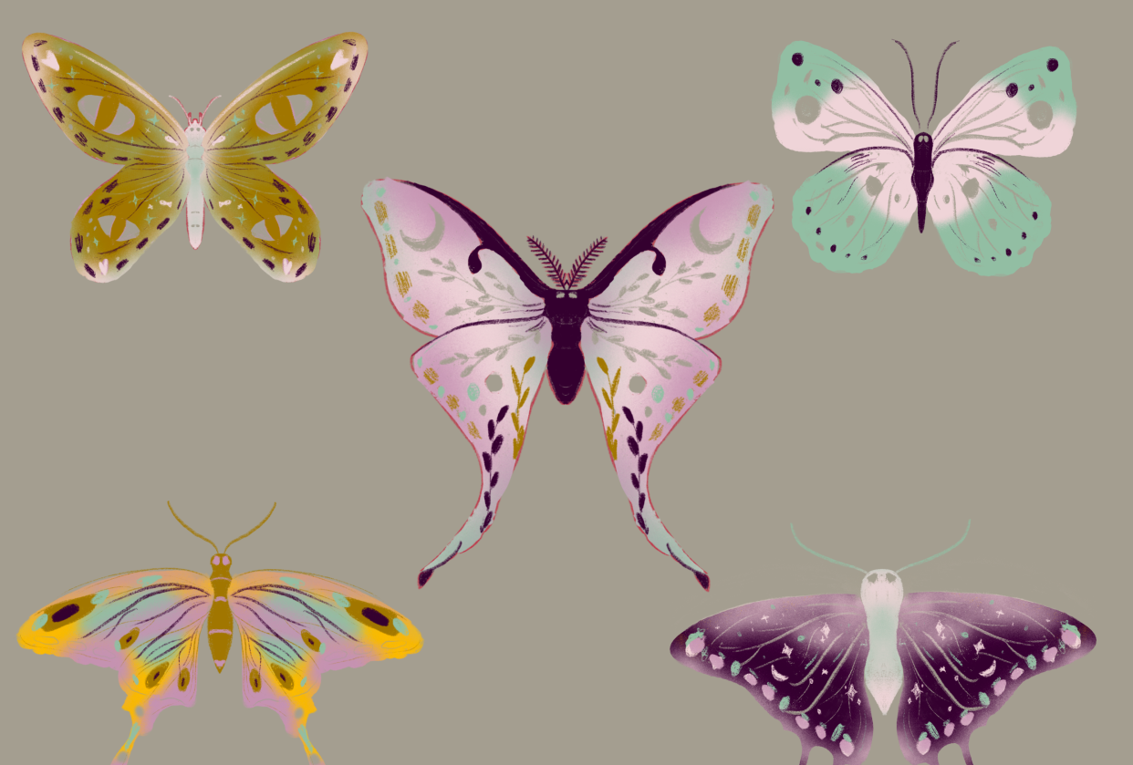 Butterfly mini gallery exercise - student project